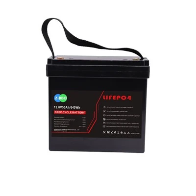 12V 50AH Li-FePO4 BATTTER עם BMS